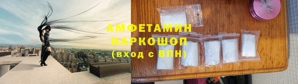 молекула духа Алексин